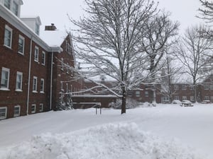IMG_2907-1
