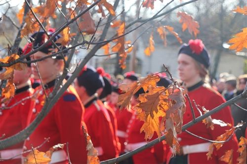 rememberance day